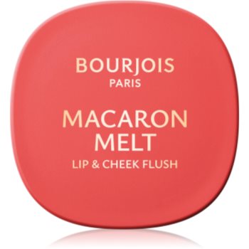 Bourjois Macaron Melt Lip & Cheek Flush blush 2 in 1 - imagine 2